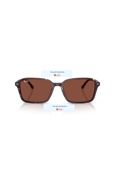 Ray-Ban Rayban 2231 1416/C5 56 18 145 3N
