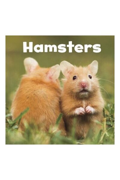 Raintree Hamsteri
