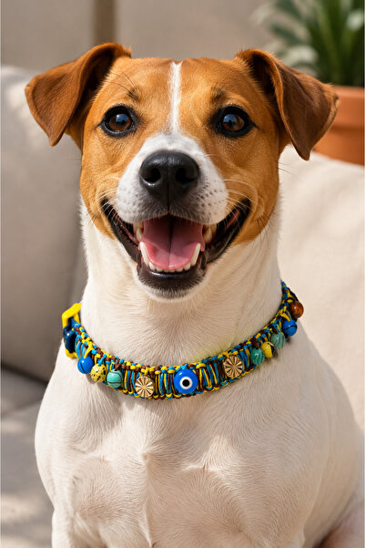 She Sells Kuçiko Handmade Dog Necklace |   Adjustable 30-50 cm |   Evil Eye B...