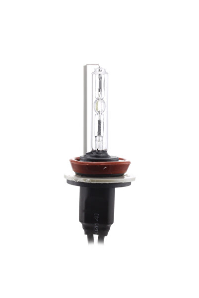 CarGuard Xenon bulb H9 Carguard, 12V, 6000K