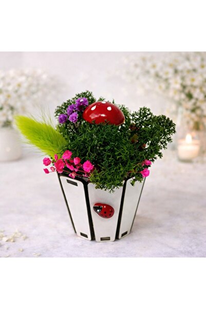 velve Aranjament floral Whiff, in cutie de lemn rotunda, licheni naturali sta...