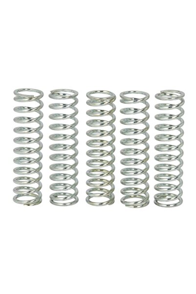 TRW Set Arcuri Ambreiaj (ranforsat) Kawasaki Z Zx-12r Zx-9r Suzuki Gsr Gsx-r ...