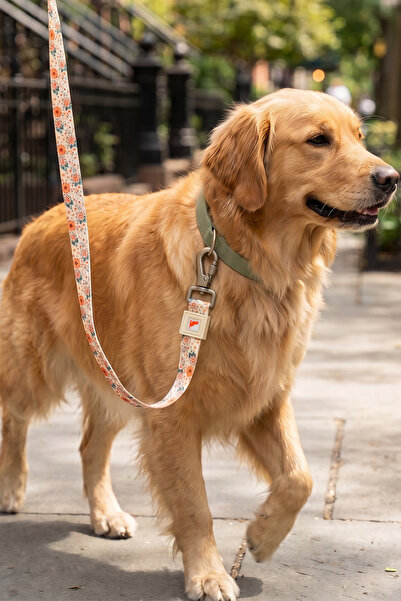 GOBYPET Köpekler İçin Dayanıklı Ve Güvenli, Desenli Gezdirme Tasması ( 25mm )