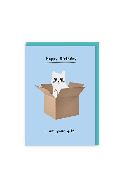 Ohh Deer بطاقة بريدية بتصميم كين ذا كات مقاس A6، قطة في صندوق 8819