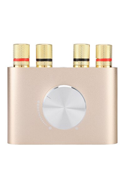 NO BRAND Amplificator de putere digital Mini Bluetooth 100W Hifi