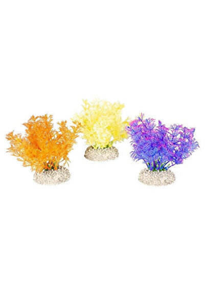 AQUA D'ELLA Plant Hottonia Mixed Colors 2