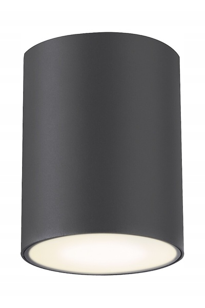 Rabalux Spot de tavan exterior antracit tuba