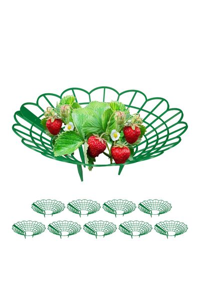 Relaxdays Strawberry holder set, Relaxdays, green, 10x30cm