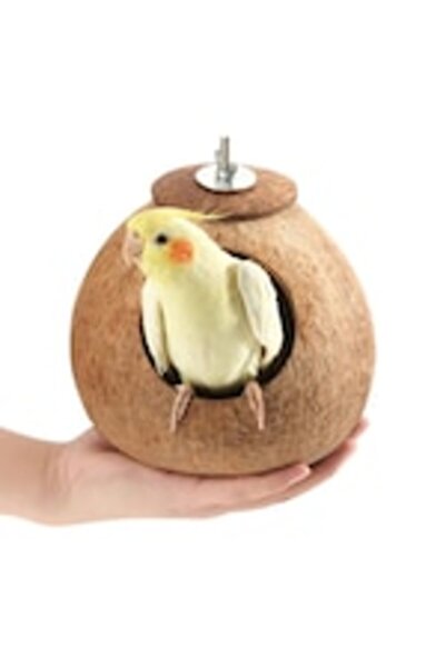 OEM Cuib de pasare, model nuca de cocos 9-12 cm