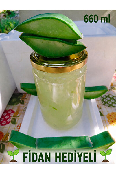 Alovia 660 ml Doğal Saf alovera Jel Taze Aloe Vera Jeli Katkısız Aloe Vera Gel
