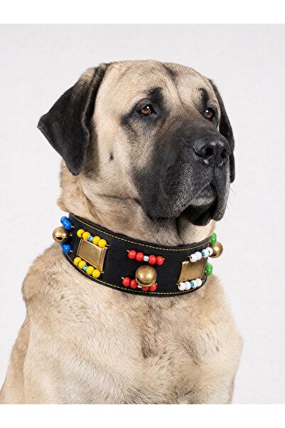 YILPAX Boncuklu Üç Zilli Büyük Cins Köpek Tasması Hakiki Deri Geniş Boyun Tasması 80x8 cm