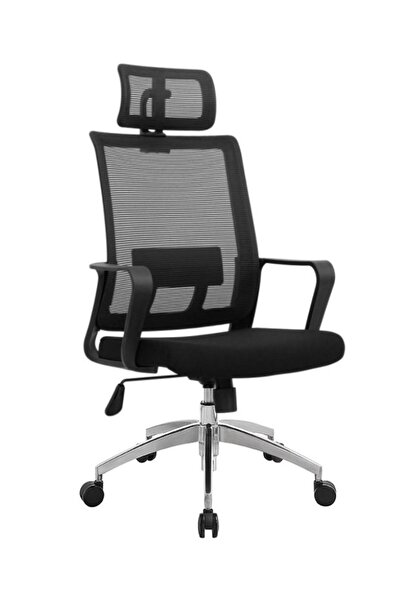 Fatio Ergonomic Office Chair | Fiber Glass PP Frame & Height Adjustable Headrest