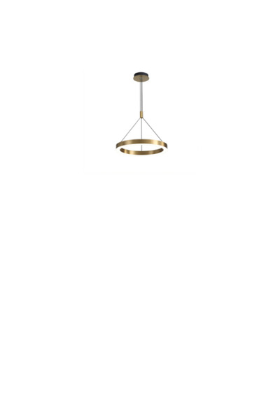 Siera High-end Ring Chandelier P 0516