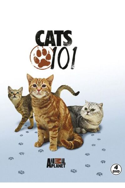 Ataklı Discovery Channel Cats 101 - Cats