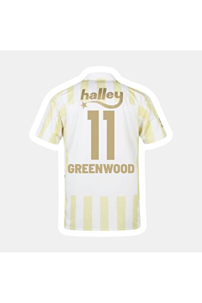 Quaxram Grêenwood-11 Fênêrbâhç'ê 26-27 Yeni Sezon Yetişkin Futbol Forması - P...