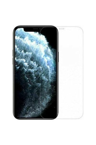 OEM Σκληρυμένο Γυαλί 9H για iPhone 12 / 12 Pro