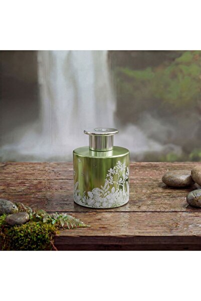 Amara Alvea (200Ml) Harmony Pine & Eucalyptus Reed Diffuser