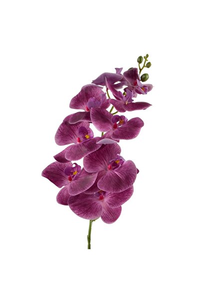 MONDEX Orhidee artificială tip ramură Viridis, 90cm, albă, 1 bucată