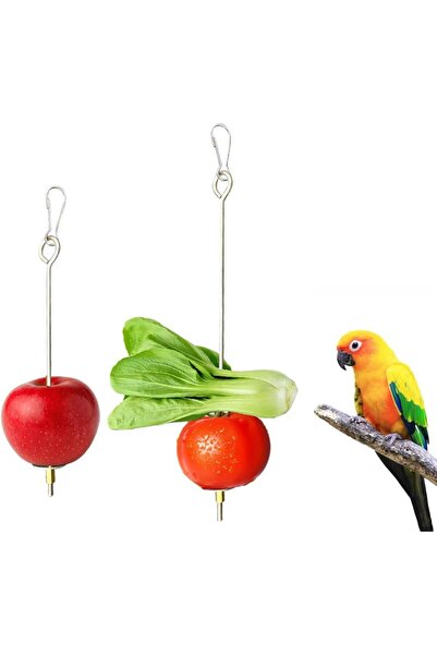 STARSTAR 2-Pack Bird Vegetable Feeders with Stainless Steel Fruit Skewers