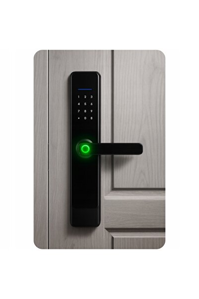 NO BRAND Mâner de ușă cu încuietoare electronică, cu cod, amprentă, TTLOCK, RFID