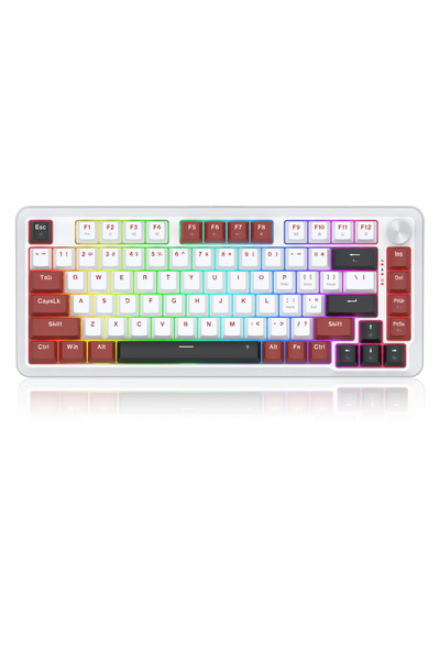 REDRAGON Tastatură cu fir RGB cu switch-uri magnetice Stormhunter