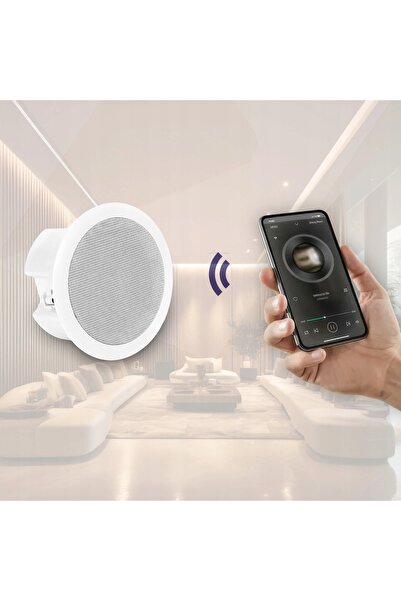 NO BRAND Difuzor de tavan activ de 5 inci, 60W, 8 ohmi, cu Bluetooth, pentru ...