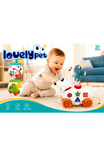 Baby Planet Baby Toy Musical Interactive Animal Lights & Sounds Pull String D...