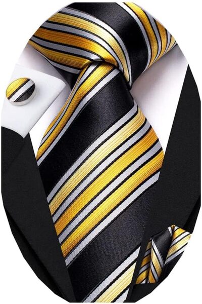 Dubulle Mens Paisely Silk Tie for Men Necktie and Pocket Square Set