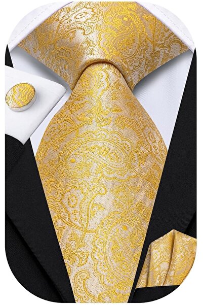 Dubulle Mens Paisely Silk Tie for Men Necktie and Pocket Square Set