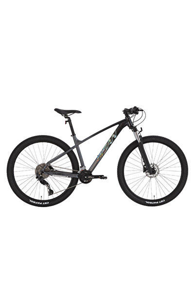 Bisan BOLD 10.2 ERKEK DAĞ BİSİKLETİ 48CM HD 29 JANT 20 VİTES SİYAH GRİ GRİ