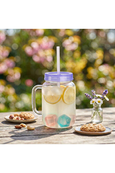 Alista Home Straw glass 550ml purple with 4 cooling cubes airtight reusable lid