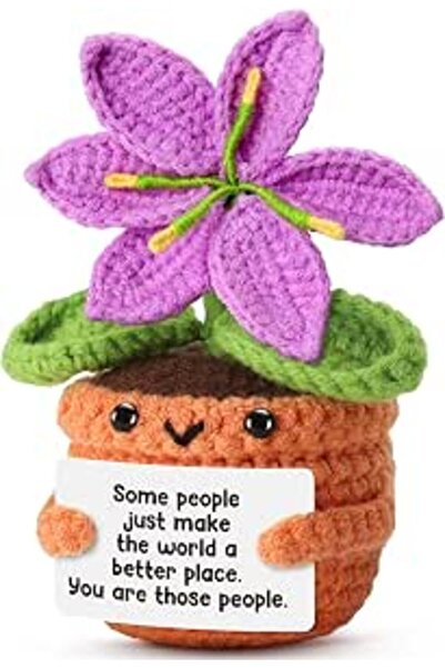 TERRIFI Positive Pocket Dinosaur Doll, Funny Emotional Support Knitted Dinosa...