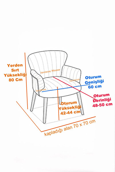 LOVİSSE HOME Hera Tekli Koltuk Berjer - Ofis Bekleme Salonu Kafe Balkon ve Mu...