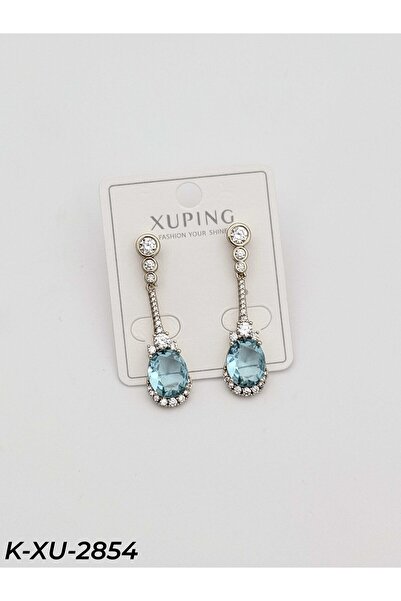 Bozhi Earrings Earrings Elegant Casual Style Gift