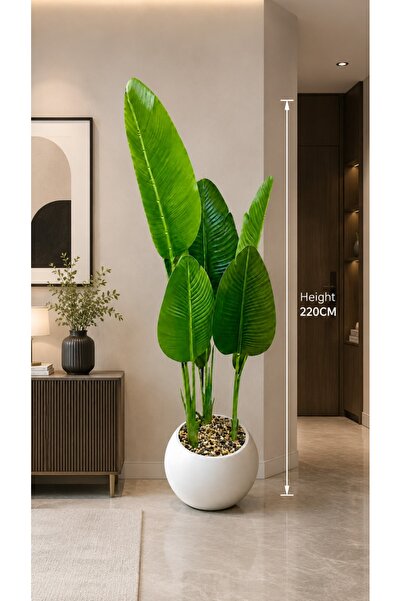 Generic Brand Artificial Banana Plant with White Pot 220CM - شجرة الموز الاصط...
