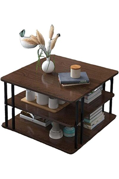DubaiGallery Walnut Finish 3-Layer Coffee Table with Open Storage Modern Side...
