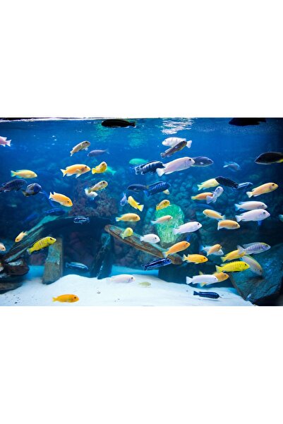 NO BRAND Tub LED RGB pentru acvariu cu telecomandă 50cm I fi20