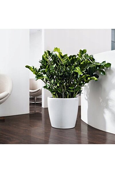 NO BRAND Donica Lechuza Classico Color 18 alb