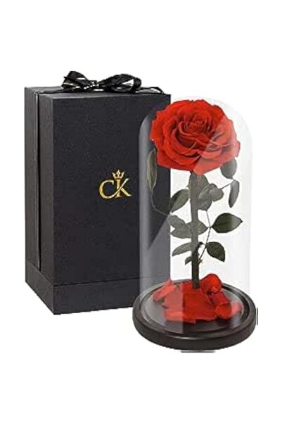 Generic Brand Timeless Beauty: Forever Rose in Glass Dome- Perfect Birthday G...