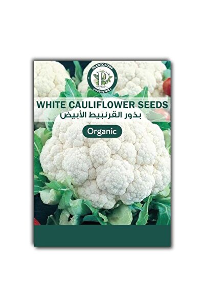 Generic White Cauliflower Seeds for Planting – Cauliflower Vegetable Seeds fo...