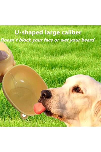Generic Brand Water bottle 380ml, leak-proof.