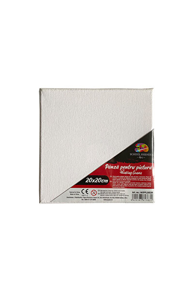 MC Micostore Panza pentru pictura pe sasiu 20 x 20 cm sf art pigna