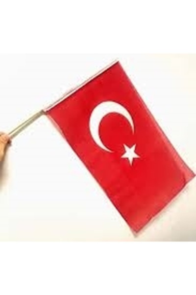 Vatan 9 EYLÜL SOPALI ALPAKA BEZ BAYRAK 20X30