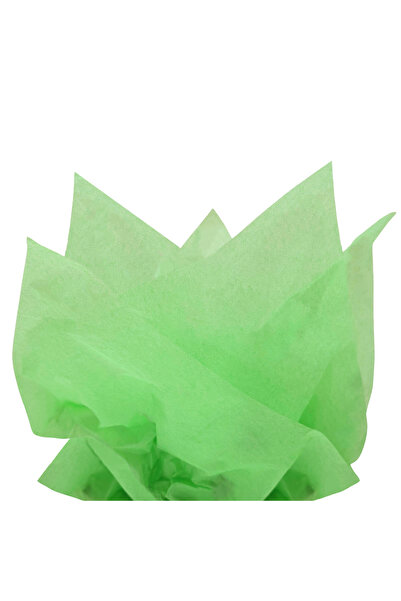 Papette Set of 200 pieces Silk paper 17g GRASS GREEN - 50 x 75 cm