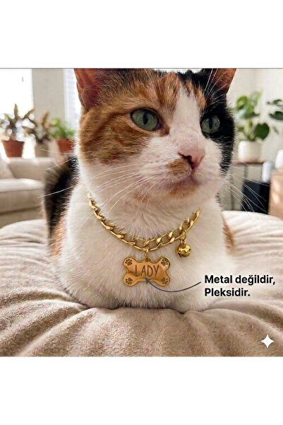 hebmeyy Isimlikli Zincir Kedi Tasması , Kolye Kedi Tasması, Künye Zincirli Ke...