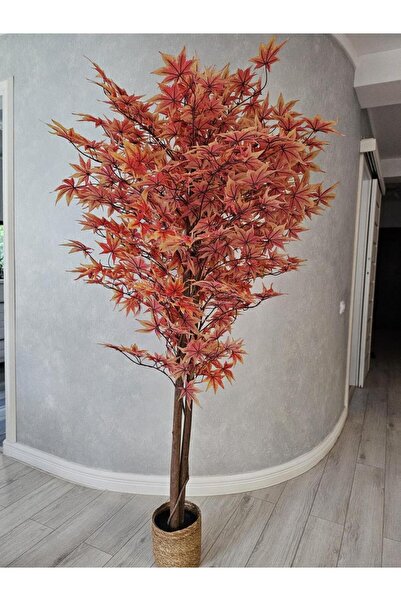 OEM Artar 180cm