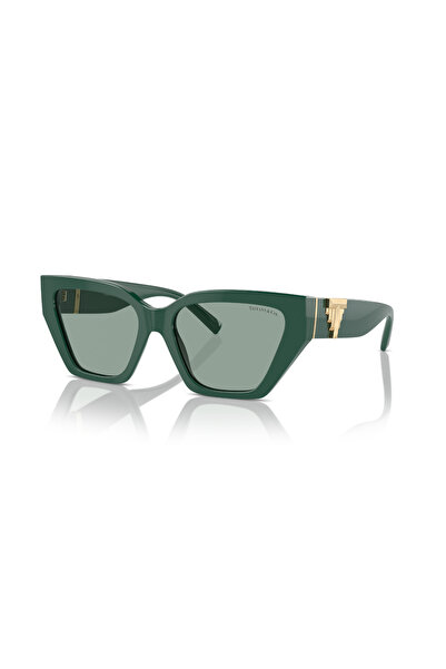 Tiffany Tf 4218 840882 55 & Co. Sunglasses