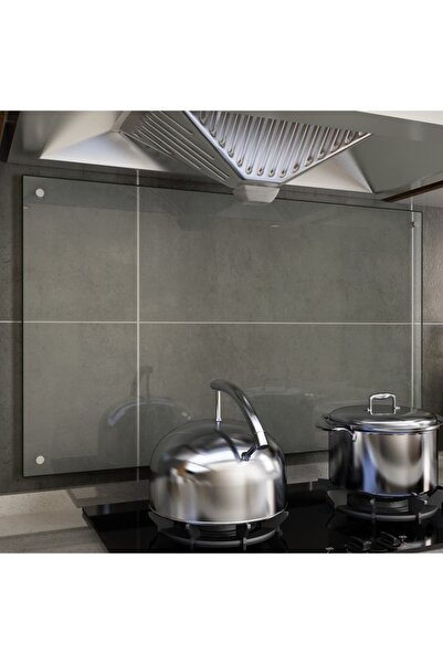 Concept Panou antistropi bucătărie transparent 100x60cm sticlă securiz.