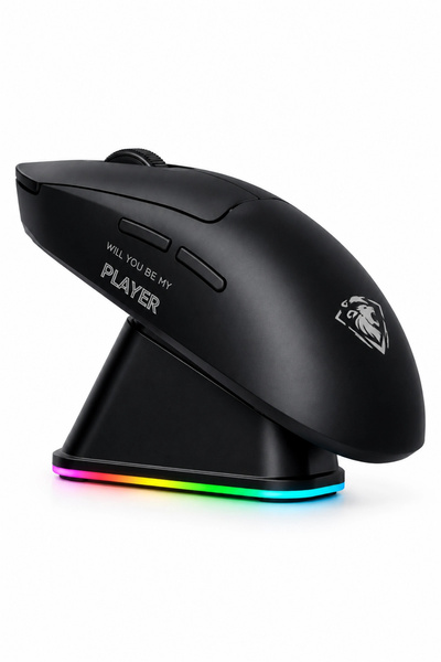 Blackbird Game Center Jedel WD157 1600 DPI Bluetooth + 2.4GHz Kablosuz Oyuncu Mouse Şarj Standı Seti