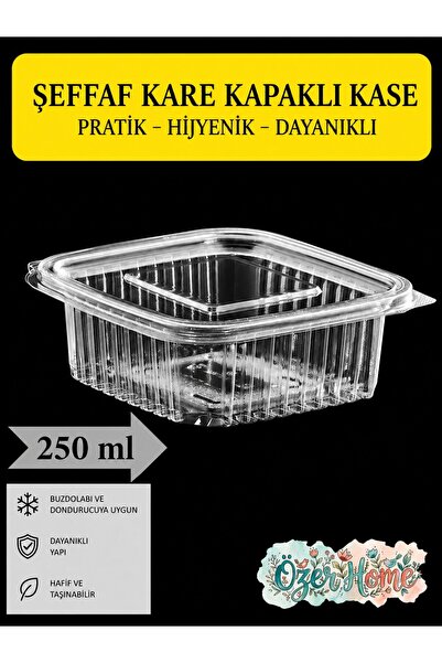 troykar 250 cc Sızdırmaz Kapaklı Şeffaf Saklama ve Sunum Kabı 50 Adet Kullan ...